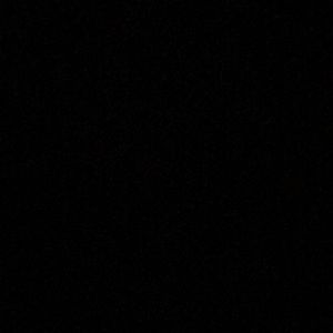 Meet your Posher, Oscar